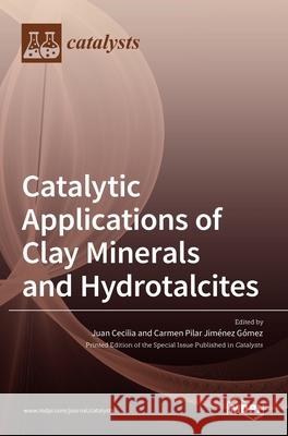 Catalytic Applications of Clay Minerals and Hydrotalcites Juan Cecilia Carmen Pilar Jimenez G 9783036535524 Mdpi AG - książka