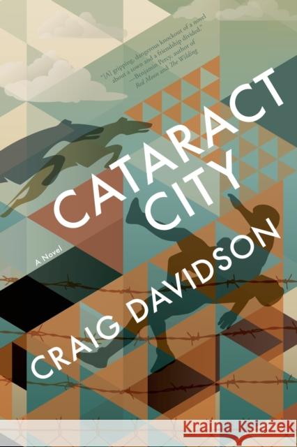 Cataract City Craig Davidson 9781555976743 Graywolf Press - książka
