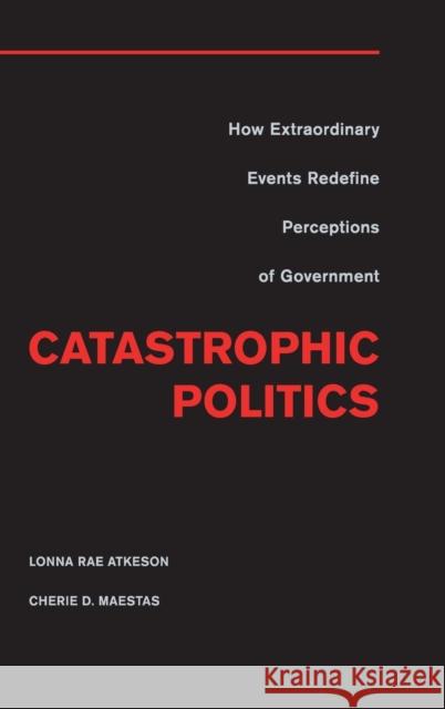 Catastrophic Politics Atkeson, Lonna Rae 9781107021129  - książka