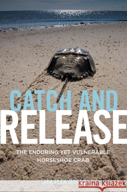 Catch and Release: The Enduring Yet Vulnerable Horseshoe Crab Lisa Jean Moore 9781479848478 New York University Press - książka