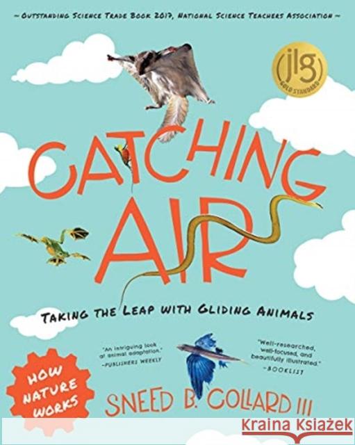 Catching Air: Taking the Leap with Gliding Animals Sneed B. Collard 9780884488835 Tilbury House Publishers - książka