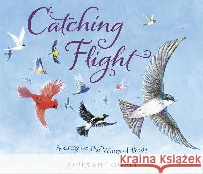 Catching Flight: Soaring on the Wings of Birds Rebekah Lowell 9780593487105 Doubleday Books for Young Readers - książka