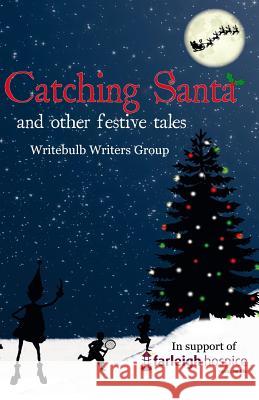 Catching Santa: And other festive tales Morriss, Margo 9781502521484 Createspace - książka