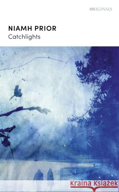 Catchlights Niamh Prior 9781529383430 Hodder & Stoughton - książka