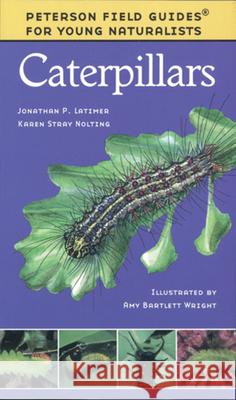 Caterpillars Jonathan P. Latimer Karen Stray Nolting Amy Bartlett Wright 9780395979457 Houghton Mifflin Company - książka