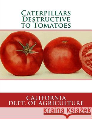 Caterpillars Destructive to Tomatoes California Dept of Agriculture Roger Chambers 9781548727215 Createspace Independent Publishing Platform - książka