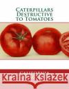 Caterpillars Destructive to Tomatoes California Dept of Agriculture Roger Chambers 9781548727215 Createspace Independent Publishing Platform