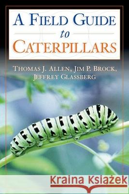 Caterpillars in the Field and Garden: A Field Guide to the Butterfly Caterpillars of North America Thomas Allen 9780195149876 Oxford University Press - książka