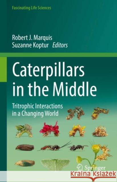 Caterpillars in the Middle: Tritrophic Interactions in a Changing World Marquis, Robert J. 9783030866877 Springer International Publishing - książka