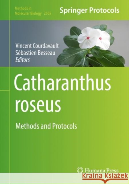 Catharanthus roseus: Methods and Protocols Courdavault, Vincent 9781071623480 Springer US - książka