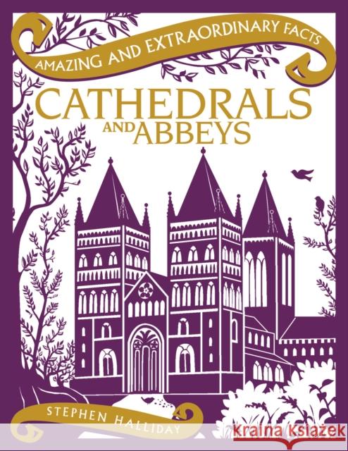 Cathedrals and Abbeys Stephen Halliday 9781910821046 Rydon Publishing - książka