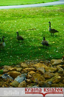 Catholic Ideals In Social Life Cuthberty Osfc, Father 9781470083465 Createspace - książka