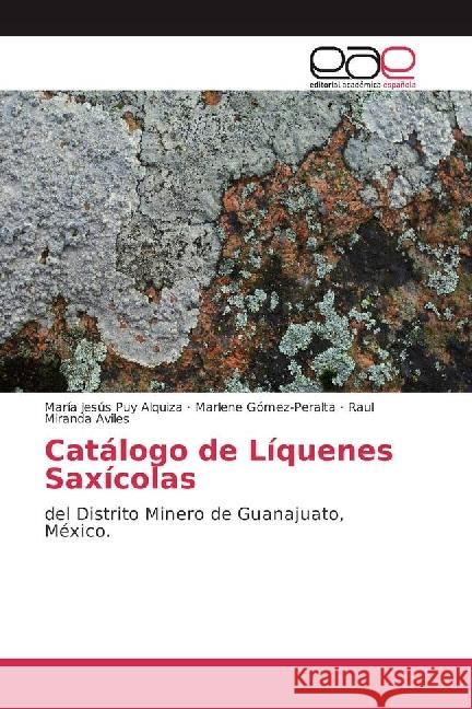 Catálogo de Líquenes Saxícolas : del Distrito Minero de Guanajuato, México Puy Alquiza, Maria Jesus; Gómez-Peralta, Marlene; Aviles, Raul Miranda 9783330096004 Editorial Académica Española - książka