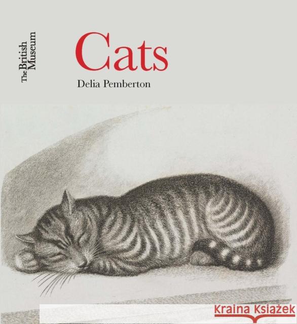 Cats Delia Pemberton 9780714151113 BRITISH MUSEUM PRESS - książka