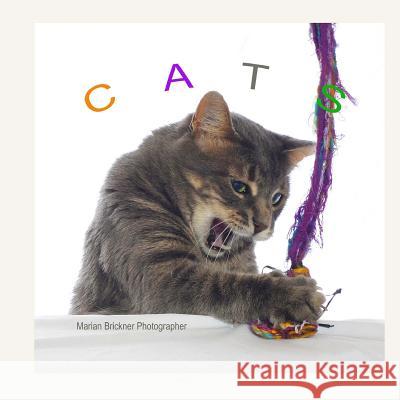 Cats Marian Brickner 9781508861010 Createspace - książka