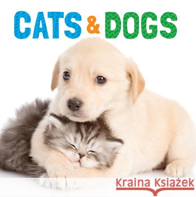 Cats & Dogs Meyers, Stephanie 9781486715824 Flowerpot Press - książka