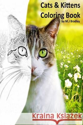 Cats & Kittens: Coloring Book M. J. Bradley 9781530030736 Createspace Independent Publishing Platform - książka