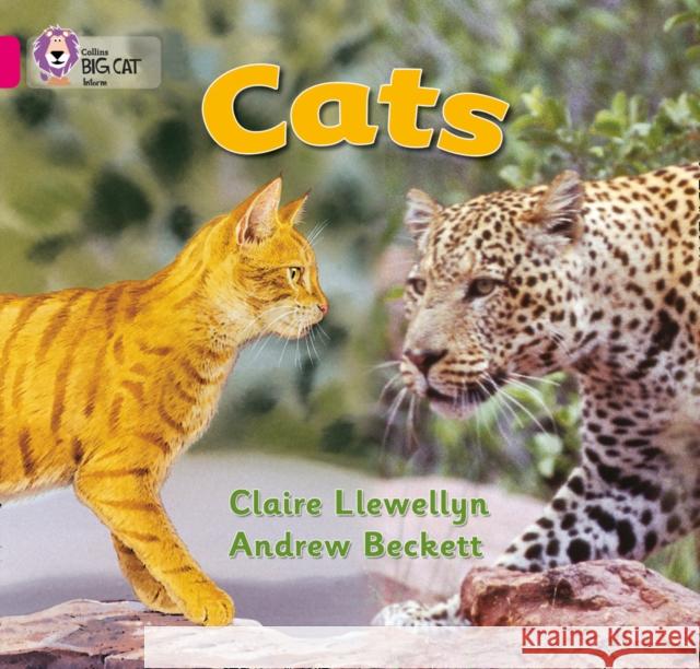 Cats: Band 01b/Pink B Claire Llewellyn 9780007185481 HarperCollins Publishers - książka