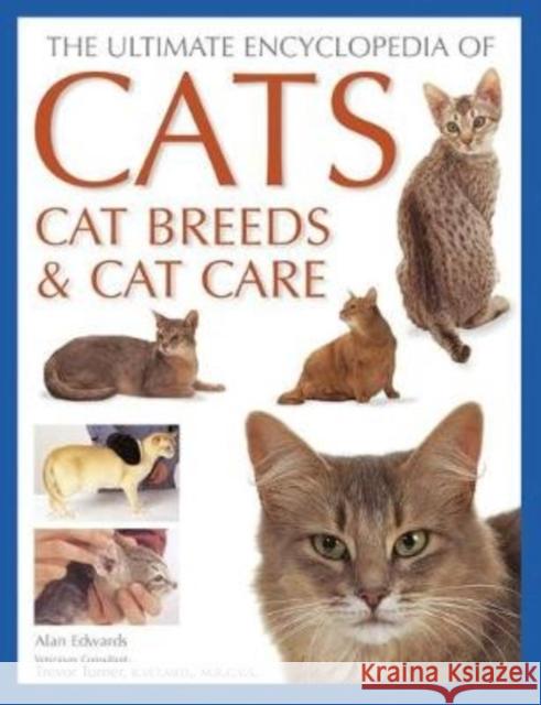 Cats, Cat Breeds & Cat Care, The Ultimate Encyclopedia of: A comprehensive visual guide Alan Edwards 9781846816550 Anness Publishing - książka