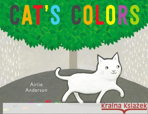 Cat's Colors Airlie Anderson Airlie Anderson 9781786282200 Child's Play International - książka