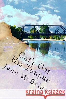 Cat's Got His Tongue Jane M. McBride 9781492730033 Createspace - książka