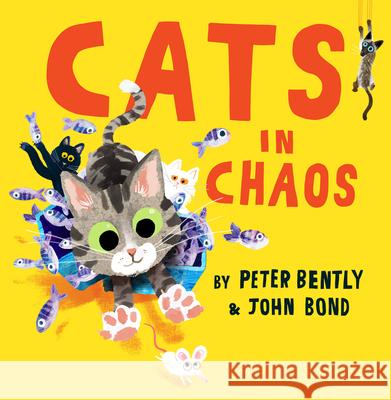 Cats in Chaos PETER BENTLY 9780008469184 HarperCollins Publishers - książka