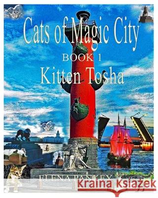 Cats of Magic City: Book 1. Kitten Tosha Elena Pankey Elena Bulat 9781950311781 Elena Pankey - książka