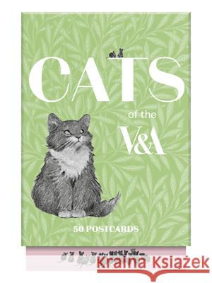 Cats of the V&a: 50 Postcards The V&a Museum 9781797243412 Princeton Architectural Press - książka