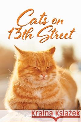 Cats on 13th Street Beverlee Hilton 9781098052768 Christian Faith - książka