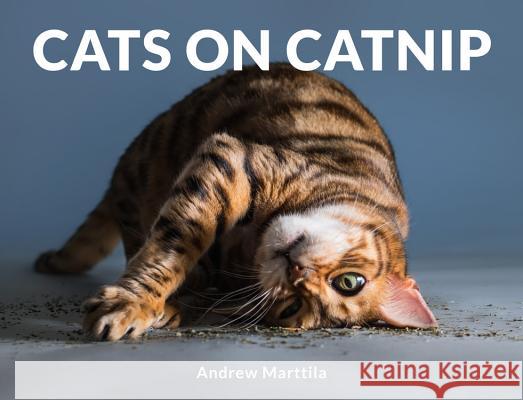 Cats on Catnip Andrew Marttila 9780762463671 Running Press Book Publishers - książka