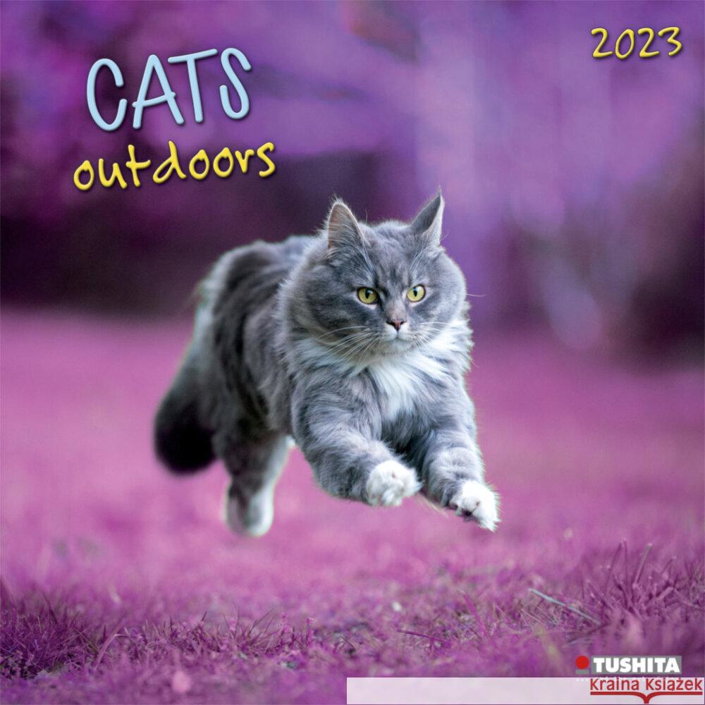 CATS outdoors 2023  9783959291170 Tushita - książka
