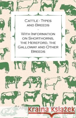 Cattle - Types and Breeds - With Information on Shorthorns, the Hereford, the Galloway and Other Breeds Various 9781446530184 Gregg Press - książka