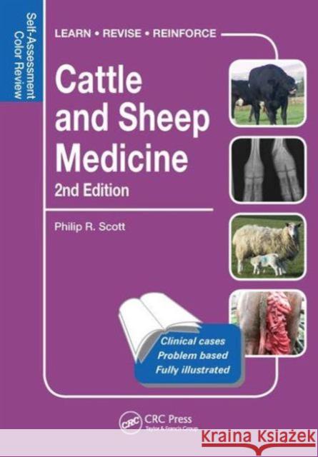 Cattle and Sheep Medicine: Self-Assessment Color Review Philip R. Scott   9781498747370 Taylor and Francis - książka