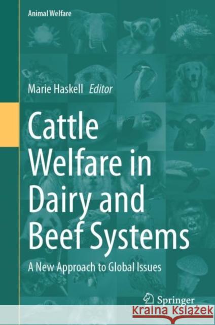 Cattle Welfare in Dairy and Beef Systems: A New Approach to Global Issues Marie Haskell 9783031210198 Springer - książka