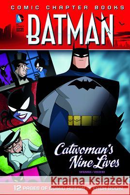 Catwoman's Nine Lives Matthew K. Manning Luciano Vecchio 9781434291363 Capstone Publishers (MN) - książka