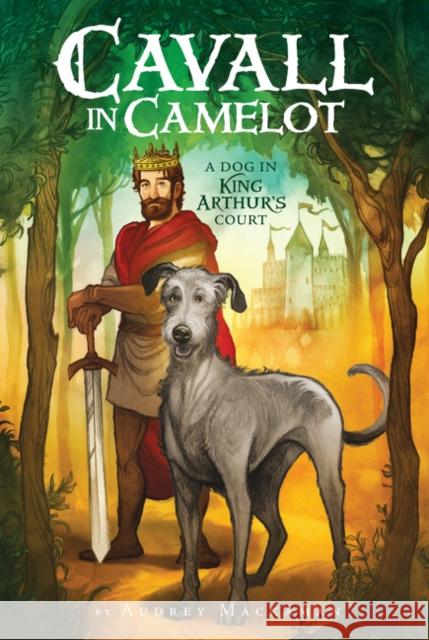 Cavall in Camelot #1: A Dog in King Arthur's Court Audrey Mackaman 9780062494498 HarperCollins - książka