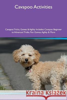 Cavapoo Activities Cavapoo Tricks, Games & Agility Includes: Cavapoo Beginner to Advanced Tricks, Fun Games, Agility and More Justin Brown   9781395864552 Desert Thrust Ltd - książka