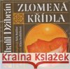 CD-Zlomená křídla - audiobook - audiobook Chalíl Džibrán 8594015312538 Vyšehrad