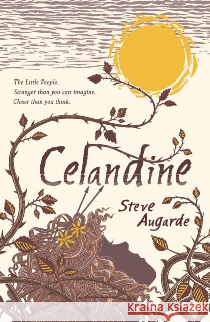 Celandine The Touchstone Trilogy Augarde, Steve 9780552572972 The Various - książka