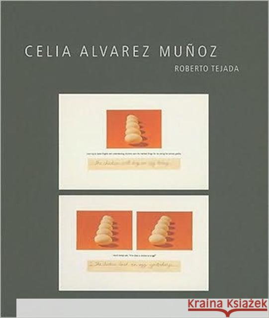 Celia Alvarez Muñoz Tejada, Roberto 9780895511126 University of Minnesota Press - książka