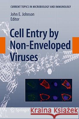 Cell Entry by Non-Enveloped Viruses John E. Johnson 9783642133312 Not Avail - książka