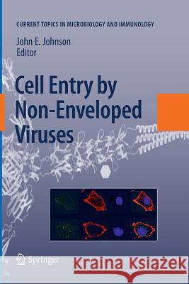 Cell Entry by Non-Enveloped Viruses John E. Johnson 9783642264696 Springer - książka