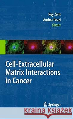 Cell-Extracellular Matrix Interactions in Cancer Roy Zent Ambra Pozzi 9781441908131 Springer - książka