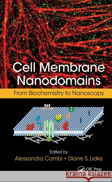 Cell Membrane Nanodomains: From Biochemistry to Nanoscopy Alessandra Cambi Diane S. Lidke 9781032236742 CRC Press - książka