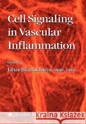 Cell Signaling in Vascular Inflammation Jahar Bhattacharya Jahar Bhattacharya 9781588295255 Humana Press - książka