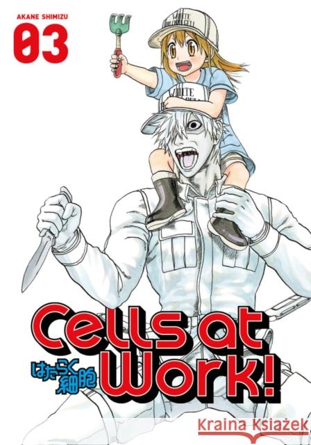 Cells At Work! 3 Akane Shimizu 9781632363909 Kodansha America, Inc - książka