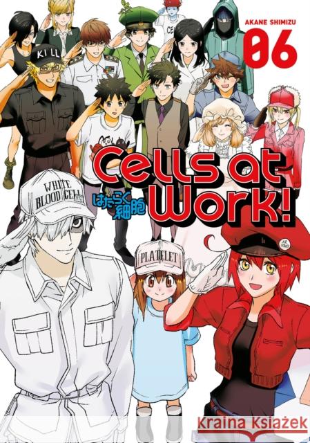 Cells at Work! 6 Akane Shimizu 9781632364272 Kodansha Comics - książka