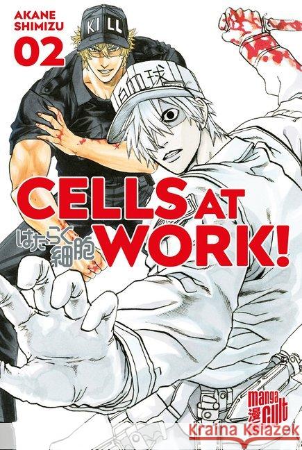 Cells at Work!. Bd.2 Shimizu, Akane 9783964331588 Cross Cult - książka