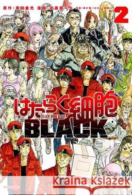 Cells at Work! Code Black 2 Shigemitsu Harada Issei Hatsuyoshiya Akane Shimizu 9781632368959 Kodansha Comics - książka