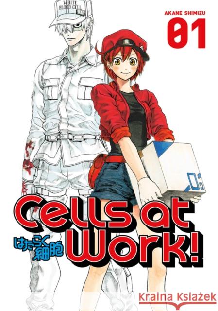 Cells at Work!, Volume 1 Akane Shimizu 9781632363565 Kodansha America, Inc - książka